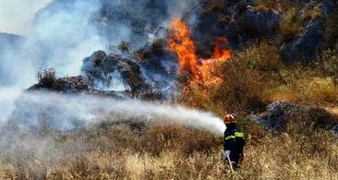 Πυροσβέστης σβήνει φωτιά στο δάσος