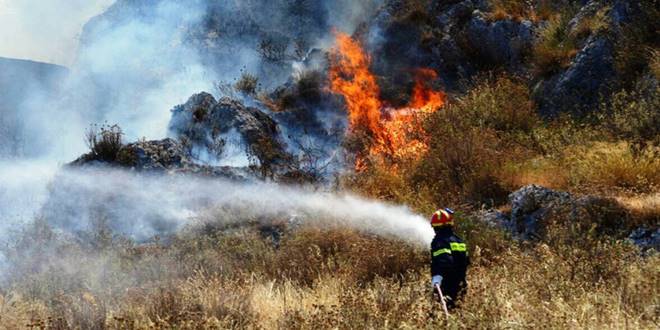 Πυροσβέστης σβήνει φωτιά στο δάσος